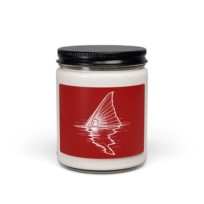 Hoox Shark Fin Illustration Candle | 9oz Soy Candle