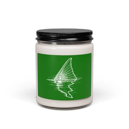 Hoox Shark Fin Illustration Candle | 9oz Soy Candle